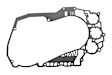 24201096 Automatic Transmission Case Gasket - Direct Fit