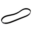 25191144 Serpentine Belt - Sold Individually