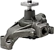 252-581 Professional Series Water Pump New