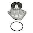252-778 Professional Series Water Pump New