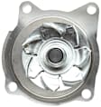 252-723 Professional Series Water Pump New