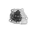 252-919 Professional Series Water Pump New
