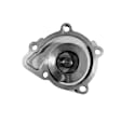 252-919 Professional Series Water Pump New