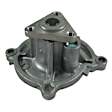 252-968 Professional Series Water Pump New