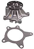 252-981 Professional Series Water Pump New