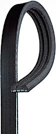 3K338 OE Replacement Series Serpentine Belt - Serpentine belt, Direct Fit, Sold individually