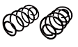 45H2015 Rear Coil Springs, Set of 2 Professional Series