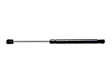 2004 Cadillac SRX - Driver or Passenger Side Lift Support Hood, For Hood, Professional Series
