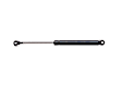 1980 Buick Riviera - Driver or Passenger Side Lift Support Trunk Lid, For Trunk Lid, Professional Series