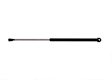 1989 Buick Reatta - Lift Support Hood, Professional Series