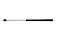 1978 Chevrolet Chevette - Driver or Passenger Side Lift Support Trunk, For Liftgate