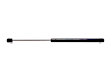 1991 Buick Commercial Chassis - Driver or Passenger Side Lift Support Back Glass, Cab & Chassis, Professional Series