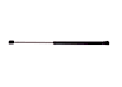 510-717 Tailgate (Driver or Passenger Side) Tailgate, Sport Utility, Professional Series