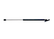 510-816 Driver or Passenger Side Hood Lift Support, Base 3.0L, 6Cyl, Sold Individually, Professional Series