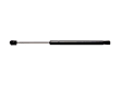 510-858 Driver or Passenger Side Hood Lift Support, 3.8L, 6Cyl, Sold Individually, Professional Series