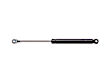 1990 Pontiac Firebird - Driver or Passenger Side Lift Support Hood, For Hood; With Fiberglass Hood, Professional Series
