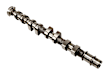 55561747 Camshaft - Sold Individually