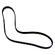 55567559 Serpentine Belt - Sold Individually