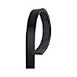 5K744 Professional Series Serpentine Belt - Sold individually