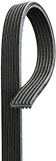 6DK725 OE Replacement Series Serpentine Belt - Direct Fit, Sold individually