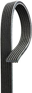 6DK973 OE Replacement Series Serpentine Belt - Serpentine belt, Direct Fit, Sold Individually