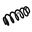 84165208 Rear Coil Springs, Sold individually Professional Series