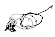 87812317 Diesel Emissions Fluid (DEF) Injector Feed Line - Sold Individually