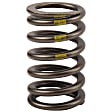 2007 Chevrolet HHR - Valve Spring - Direct Fit