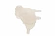 95048411 Coolant Reservoir, GM Original Equipment Series