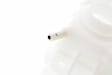 96817343 Coolant Reservoir, GM Original Equipment Series