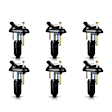 7805-1214-06 Ignition Coil, Set of 6, OE Series