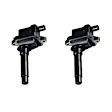 7805-2253-02 Ignition Coil, Set of 2, OE Series