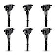 7805-3162-06 Ignition Coil, Set of 6, 3.4L, 6Cyl