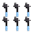 7805-3172-06 Ignition Coil, Set of 6, 3.0L, 6Cyl
