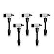 7805-3370-05 Ignition Coil, Set of 5