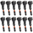 7805-6153-12 Ignition Coil, Set of 12, OE Series