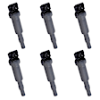7805-6255-06 Ignition Coil, Set of 6, OE Series