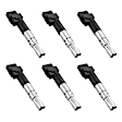 7805-6353-06 Ignition Coil, Set of 6, OE Series
