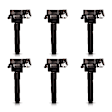 7805-6558-06 Ignition Coil, Set of 6