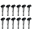 7805-6561-12 Ignition Coil, Set of 12, OE Series
