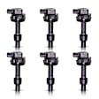 7805-9651-06 Ignition Coil, Set of 6, 2.9L, 6Cyl
