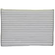 CF2229 Cabin Air Filter Professional Series
