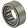 R1561TV Rear, Driver or Passenger Side Wheel Bearing, Sold Individually