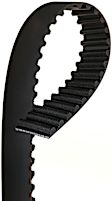 TB244 Professional Series Timing Belt - Direct Fit, Sold Individually