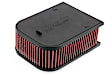 RF100032 Performance Replacement Air Filter