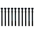 AHB130 APEX Cylinder Head Bolt Cylinder Head Bolt, Set of 10