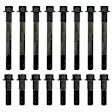 AHB256 APEX Cylinder Head Bolt Cylinder Head Bolt, Set of 16