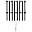 AHB315 APEX Cylinder Head Bolt Cylinder Head Bolt, Set of 16