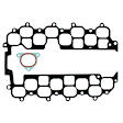 AMS8591 APEX Intake Manifold Gasket Intake Manifold Gasket - Set