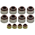 AVS2000 APEX Valve Stem Seal Valve Stem Seal - Direct Fit, Set